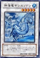 至高の木の実 遊戯王トレカお買得価格通販 トレコロ 至高の木の実 遊戯王トレカお買得価格通販 トレコロ