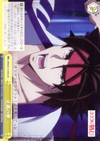 【ヴァイス】CR◇正義の拳