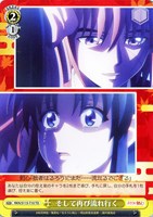 【ヴァイス】TD◇そして再び流れ行く