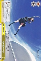 【ヴァイス】CC◇追い続ける夢