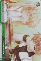 【ヴァイス】SR◇ちっぽけな幸せ