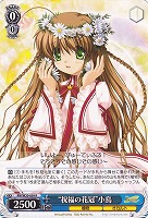 【ヴァイス】R◇“祝福の花冠”小鳥