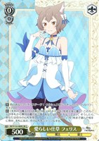 愛らしい仕草 フェリス
