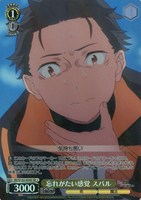 忘れがたい感覚 スバル