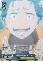 感情の共有 スバル