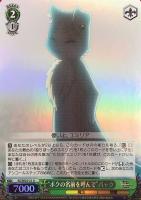 【ヴァイス】Ｕ）ホロ仕様◇“ボクの名前を呼んで”パック