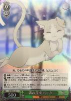 【ヴァイス】Ｃ）ホロ仕様◇森の探検　パック