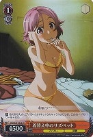 【ヴァイス】SR◇着替え中のリズベット