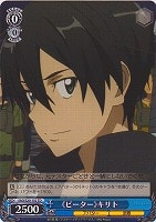 【ヴァイス】ＴＤ◇《ビーター》キリト