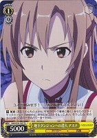 【ヴァイス】ＴＤ◇地下ダンジョンへの潜入 アスナ