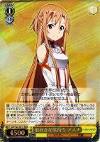 二刀流》の悪魔 キリト【ヴァイスシュヴァルツトレカ高価買取