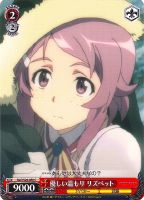 希望の光　アスナ　sp 希望の光 アスナ sp ヴァイスシュヴァルツ ソードアート