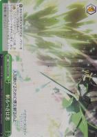 【ヴァイス】ＲＲＲ◇斬るべきは悪[S84表記]