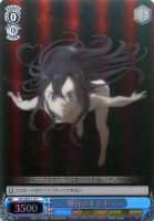 【ヴァイス】Ｃ）ホロ仕様◇潜行のキリト