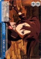 【ヴァイス】ＴＤ◇《光剣》の使い手