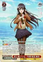 【ヴァイス】OFR◇君と過ごした一年間 桜島 麻衣