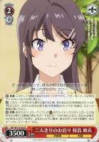 【ヴァイス】R◇二人きりのお泊り 桜島 麻衣