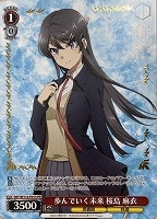 カードを売る/ヴァイスシュヴァルツ/2024年度作品/『青春ブタ