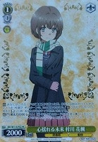 カードを買う/ヴァイスシュヴァルツ/2024年度作品/『青春ブタ