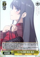 モデル活動 桜島 麻衣