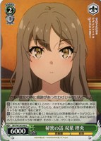 秘密の話 双葉 理央