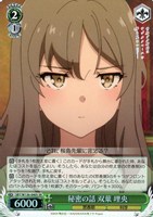 秘密の話 双葉 理央