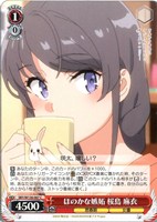 ほのかな嫉妬 桜島 麻衣