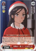 目的の一致 ミニスカサンタ