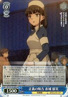 正義の味方 赤城 郁実