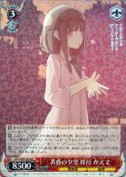 青春ブタ野郎シリーズ RR以下4コン ヴァイスシュヴァルツ