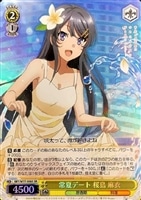 ヴァイスシュヴァル　クリスマスプレゼント　豊浜　のどかsp とある美術で3点です on X: 