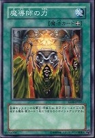 【遊戯王】ノーマル◇魔導師の力