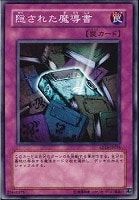 ブラック・マジシャン・ガール【遊戯王トレカ高価買取価格査定