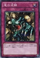 【遊戯王】ノーマル◇竜の逆鱗