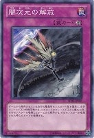 【遊戯王】ノーマル◇闇次元の解放