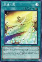 シトリスの蟲惑魔【遊戯王トレカお買得価格通販：トレコロ】