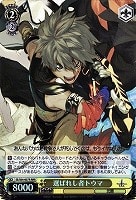 シャイニング・フォースイクサ　ヴァイスシュヴァルツカードセットスリーブ付き シャイニング・フォースイクサヴァイスシュヴァルツカードセット