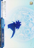 【ヴァイス】CR◇一人前の魔法使い