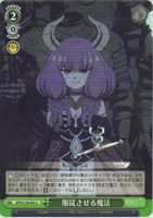 服従させる魔法