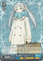 冬の装い フリーレン