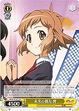 【ヴァイス】TD◇未来の親友 響