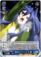【ヴァイス】RR◇強化トレーニング 翼