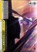 【ヴァイス】CC◇大きな心配事