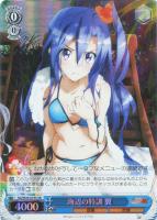 【ヴァイス】SR◇海辺の特訓 翼