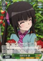 【ヴァイス】C◇見回り中 調