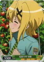 【ヴァイス】C◇見回り中 切歌