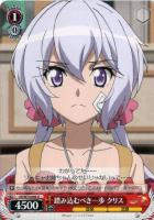 【ヴァイス】U◇踏み込むべき一歩 クリス