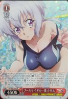 【ヴァイス】PR◇プールサイドの一幕 クリス
