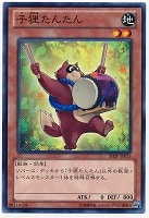 【遊戯王】ノーマル◇子狸たんたん