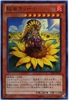 キズあり【遊戯王】スーパーレア◇姫葵マリーナ